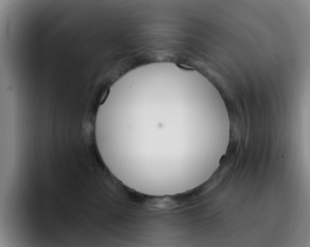 X0000093110427200709260949