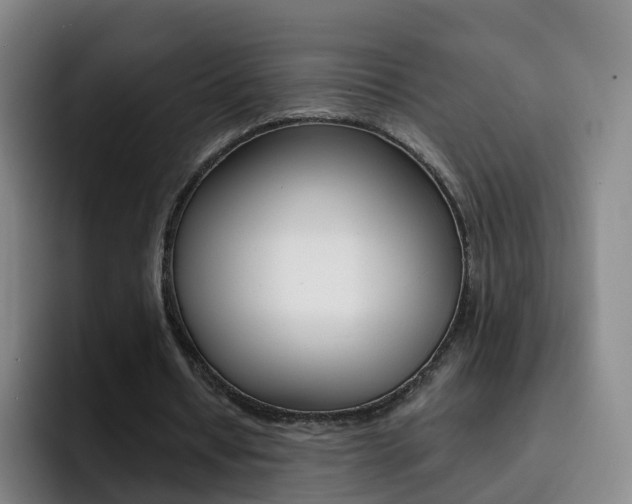 X0000093110434200709260948