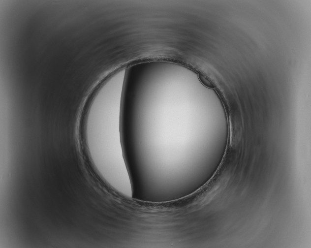 X0000093110435200709260948