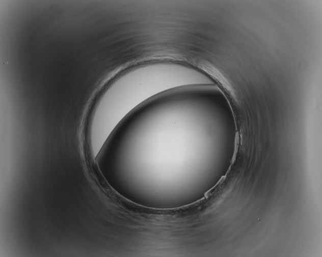 X0000093110436200709260949
