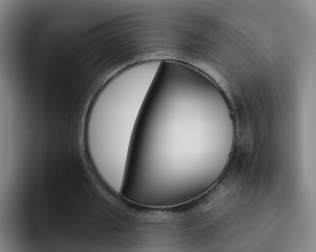 X0000093110437200709260949