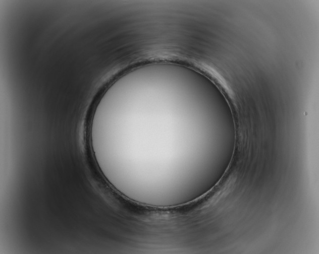 X0000093110439200709260949