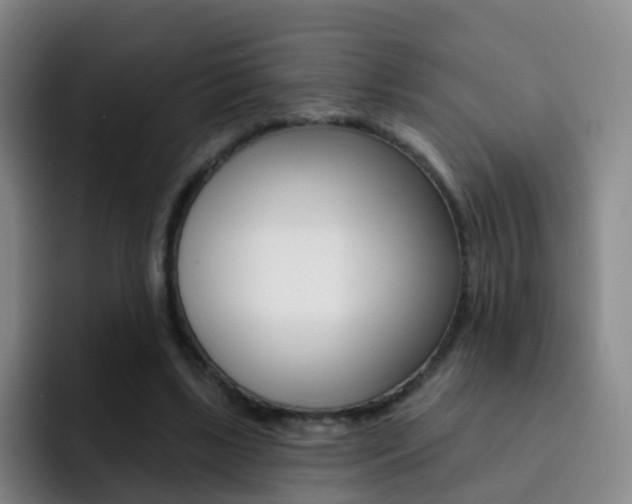 X0000093110443200709260949