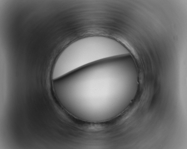 X0000093110445200709260949