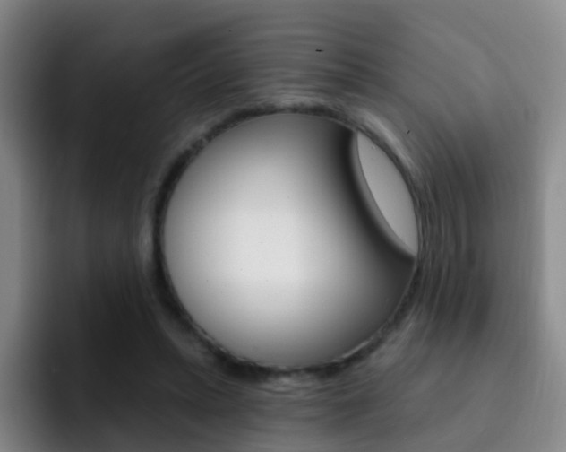 X0000093110447200709260949
