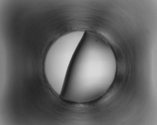 X0000093110453200709260949