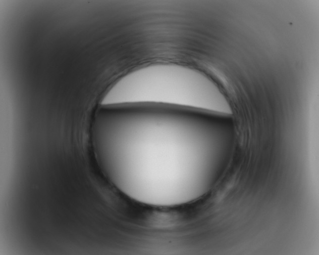 X0000093110455200709260949