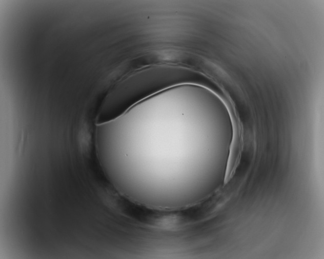X0000093110456200709260949