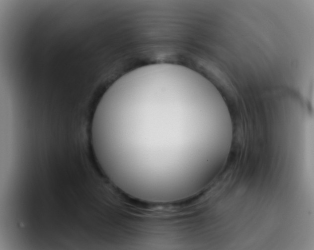 X0000093110461200709260949