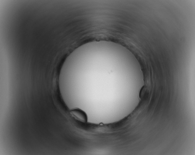 X0000093110468200709260949