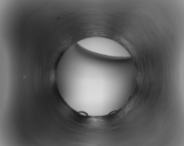 X0000093110477200709260949