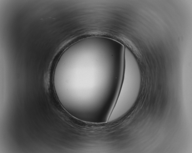 X0000093110484200709260948