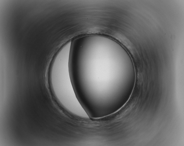 X0000093110485200709260948