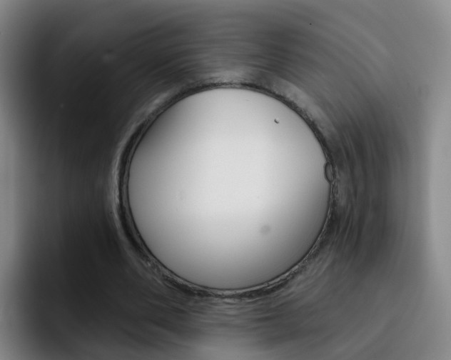 X0000093110486200709260948