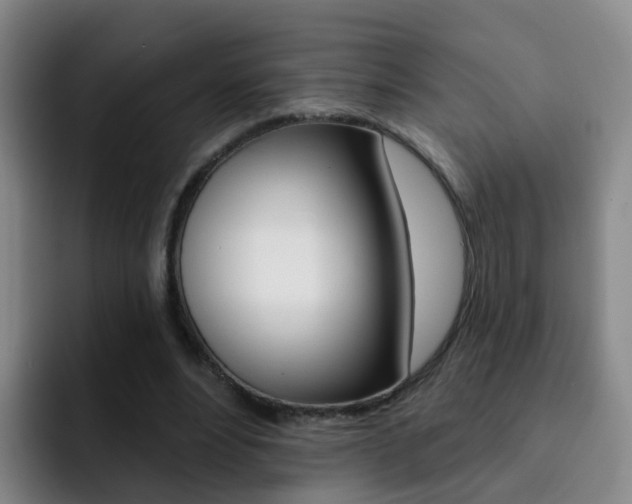 X0000093110488200709260948