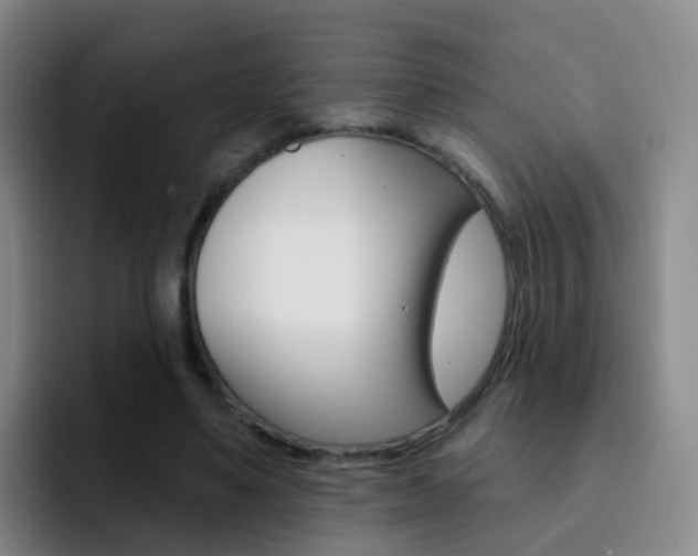 X0000093110491200709260948