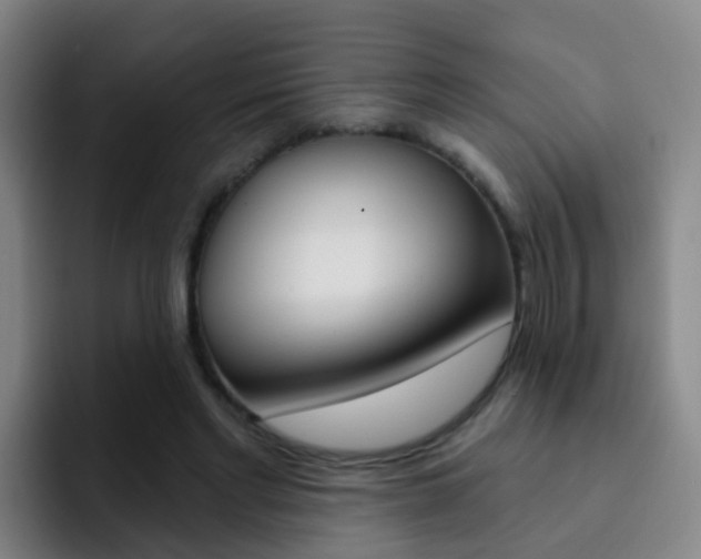 X0000093110493200709260948