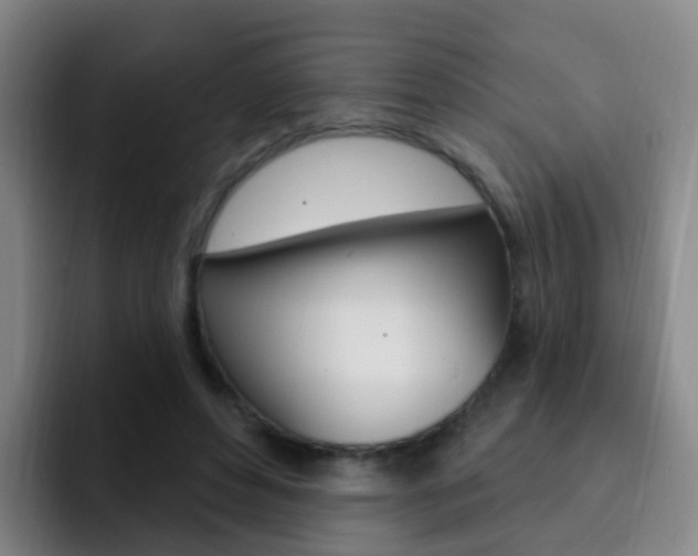 X0000093110496200709260948