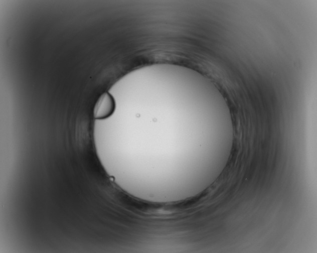 X0000093110506200709260948