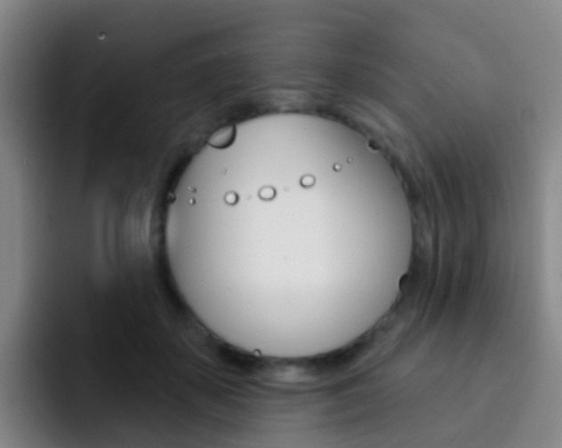 X0000093110507200709260948