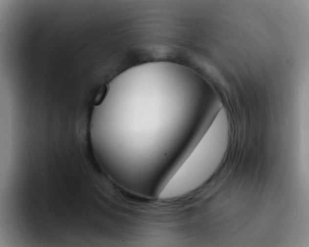 X0000093110509200709260948