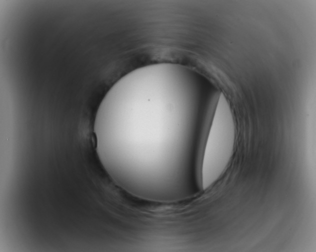 X0000093110513200709260948