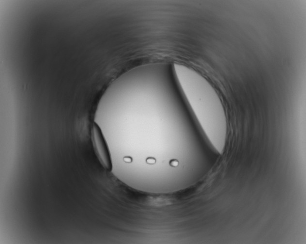 X0000093110520200709260948