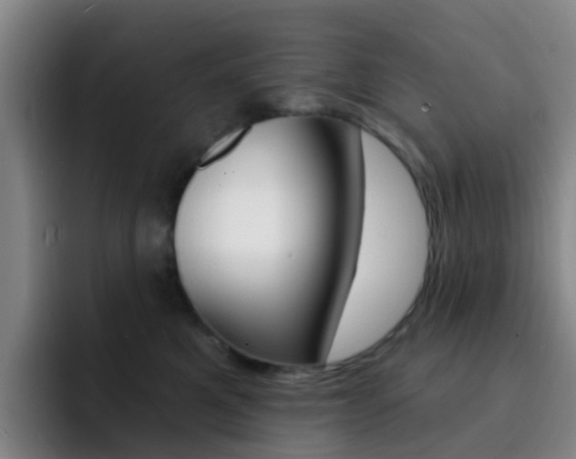 X0000093110521200709260948