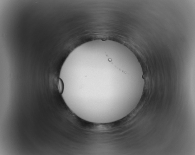 X0000093110522200709260948