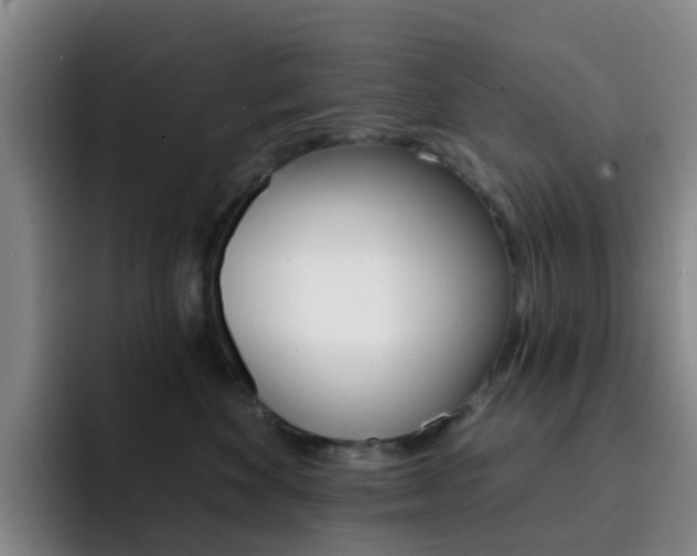 X0000093110524200709260948
