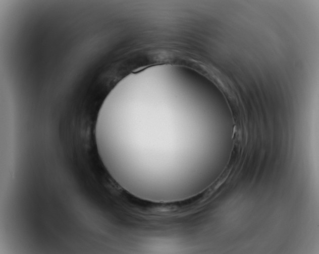 X0000093110525200709260948