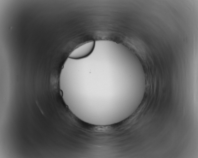 X0000093110526200709260948