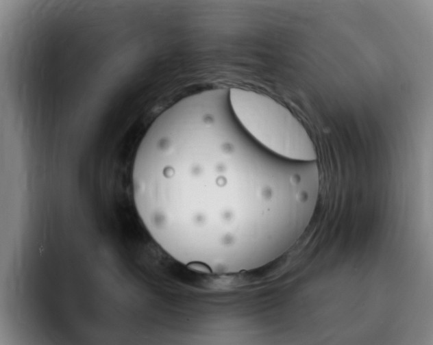 X0000093110527200709260948