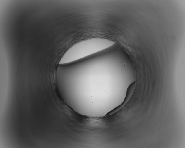 X0000093110528200709260948