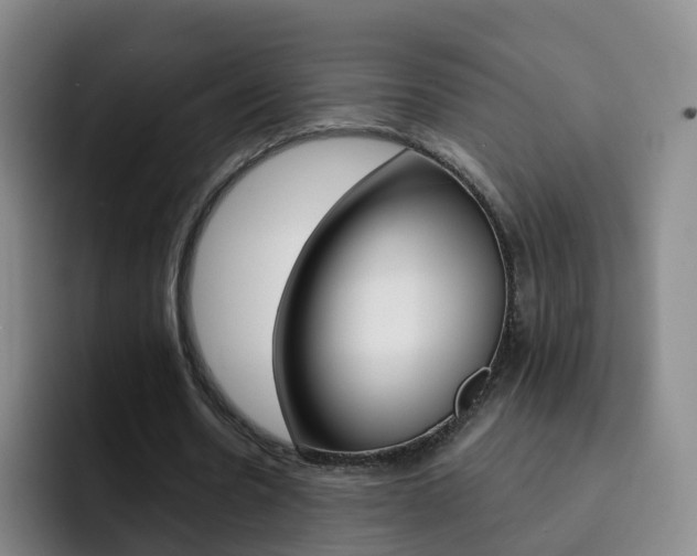 X0000093110530200709260947