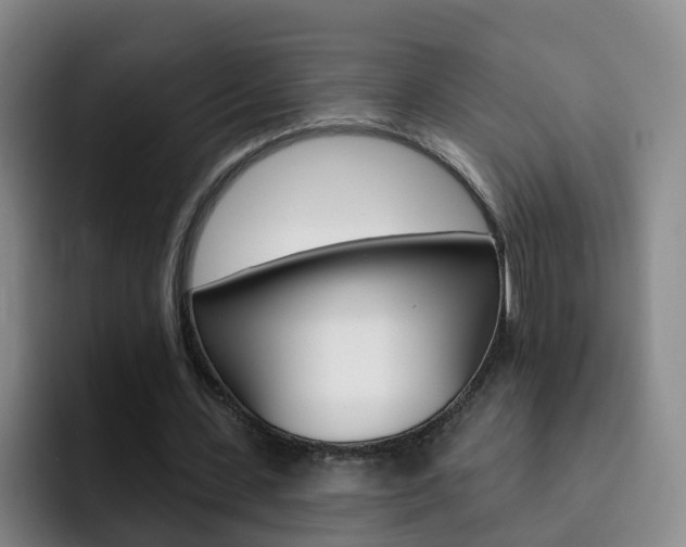 X0000093110531200709260947