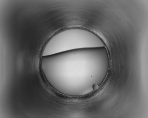 X0000093110533200709260947