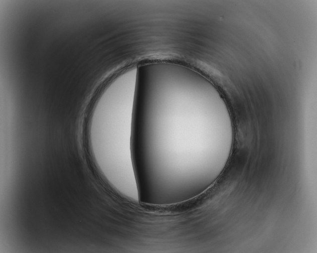 X0000093110535200709260947
