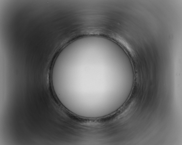 X0000093110537200709260947