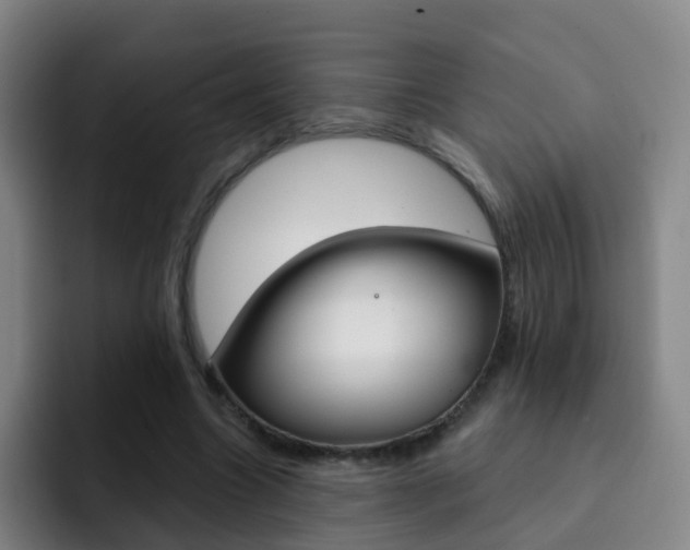 X0000093110538200709260947