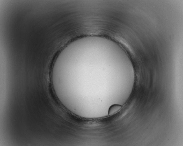 X0000093110541200709260947
