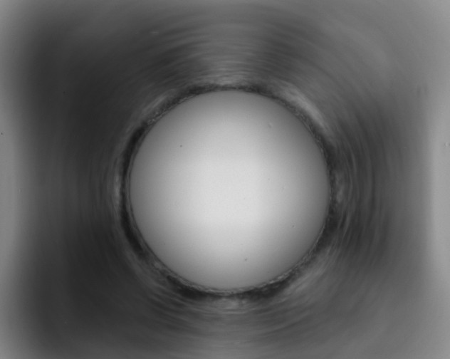 X0000093110542200709260947