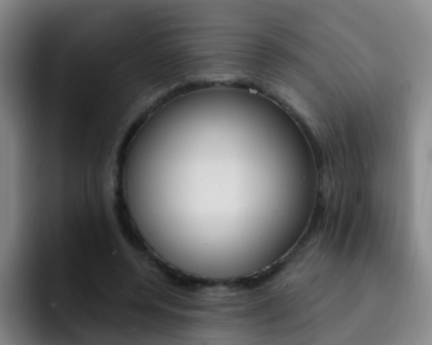 X0000093110544200709260947