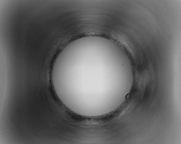 X0000093110545200709260947