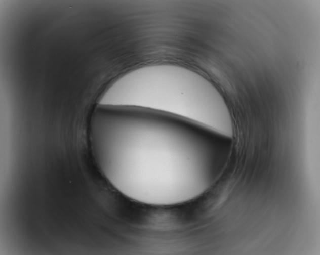 X0000093110547200709260947