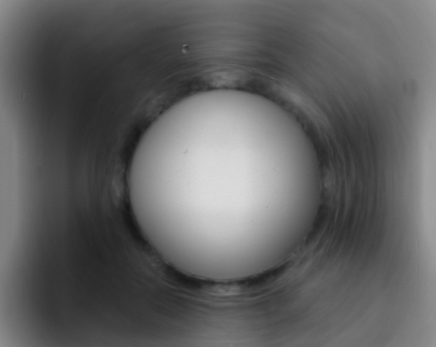 X0000093110554200709260947