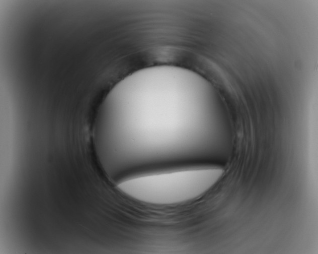 X0000093110555200709260947