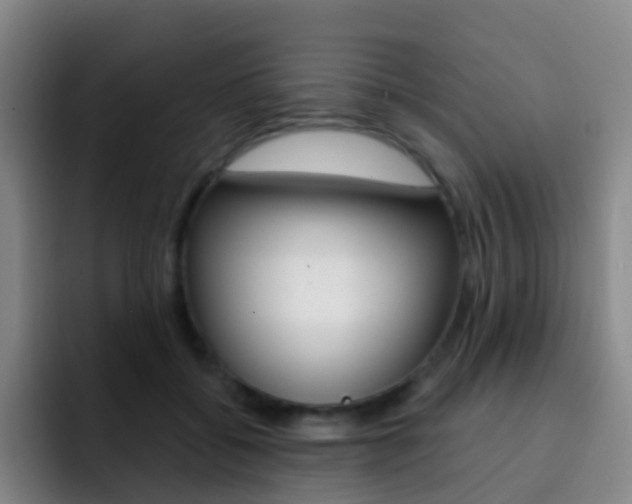 X0000093110556200709260947
