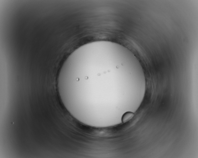 X0000093110557200709260947