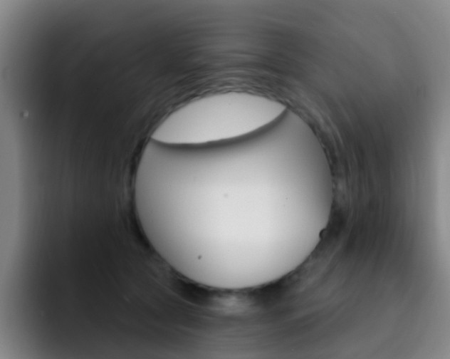 X0000093110561200709260947